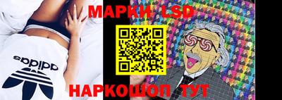 спайс Кандалакша