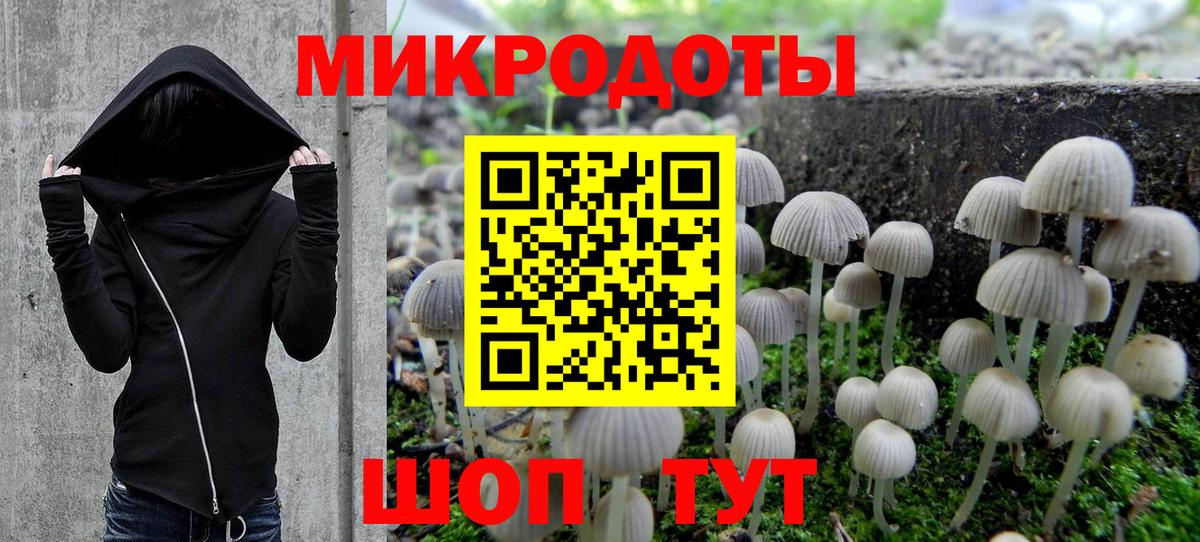 Галлюциногенные грибы мицелий  Вход с VPN  Галлюциногенные грибы Psilocybe  Медногорск 