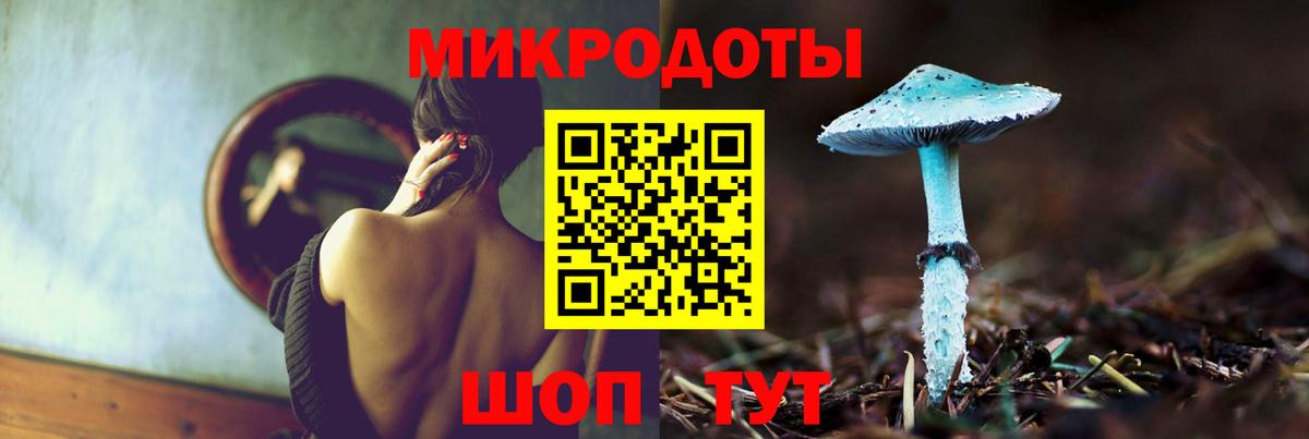 Псилоцибиновые грибы GOLDEN TEACHER  наркотики  Медногорск 